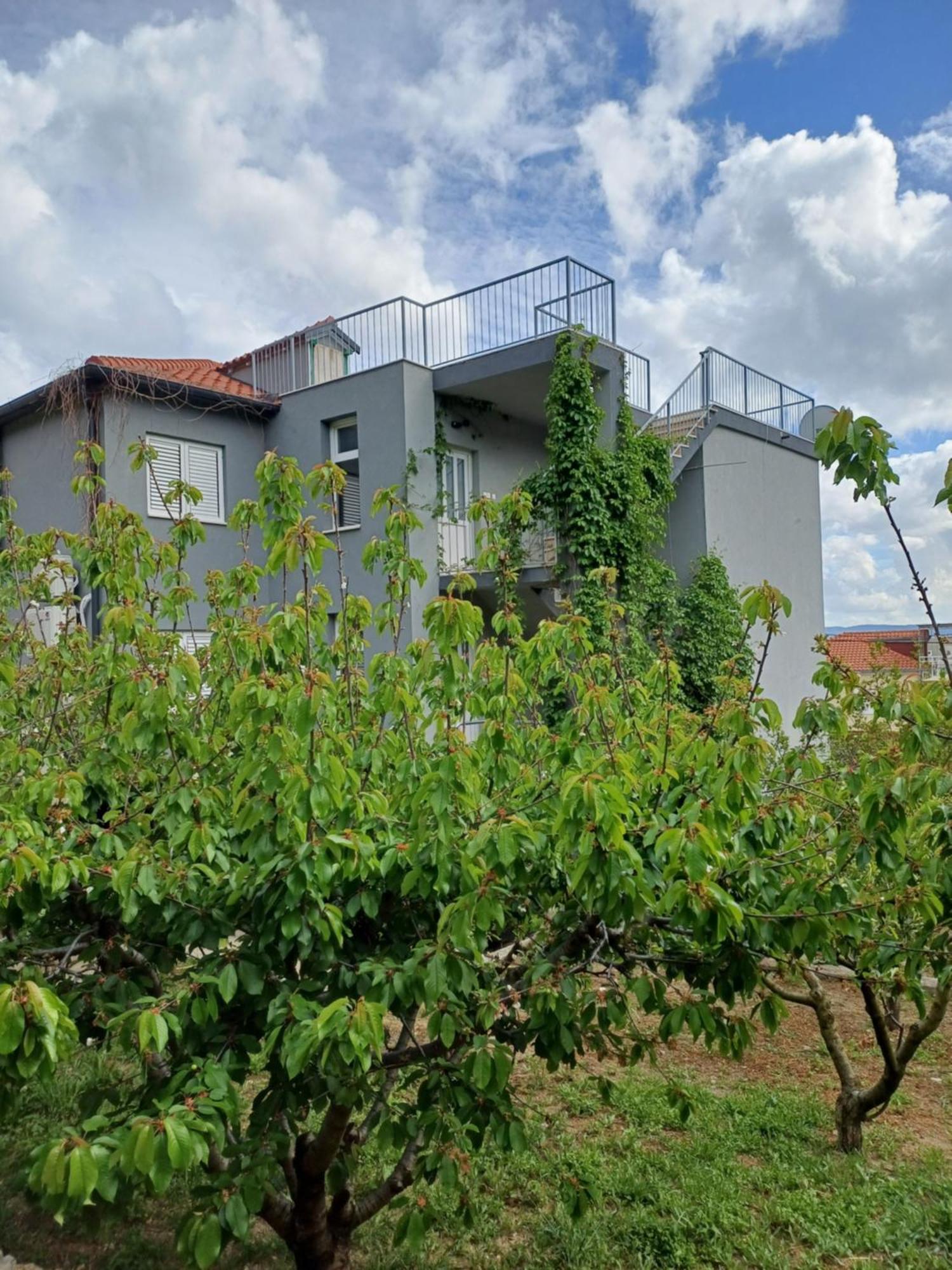 Apartments Andrea เยเซนิเซ ภายนอก รูปภาพ